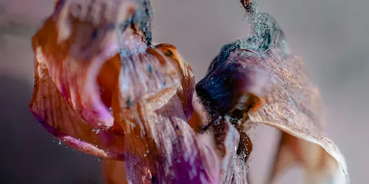 Featured image of post You Can Save a Relationship, But You Can’t Save the Past