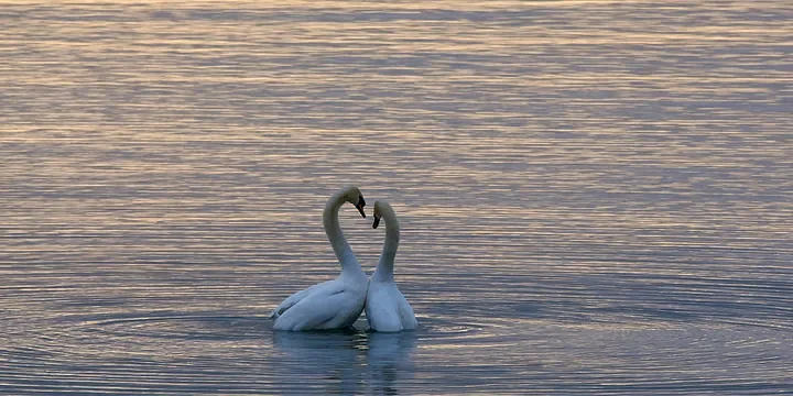 Featured image of post Why Women Who Love You Don’t Take the Initiative to Contact You: Four Main Reasons