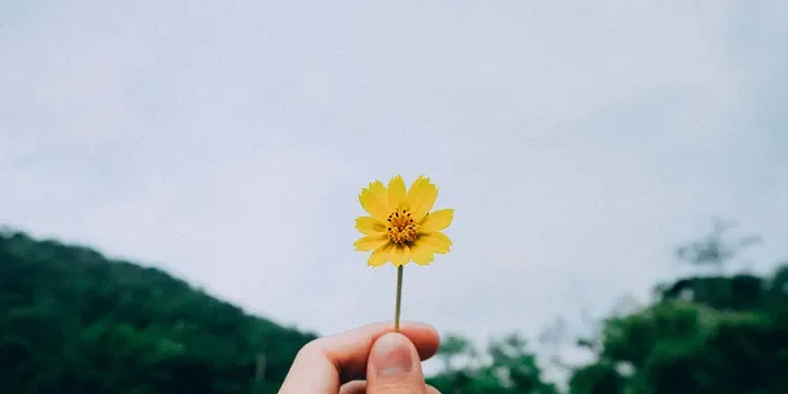 Featured image of post Women Should Remember: Don’t Ruin Your Own Happiness Because of Your Human Nature