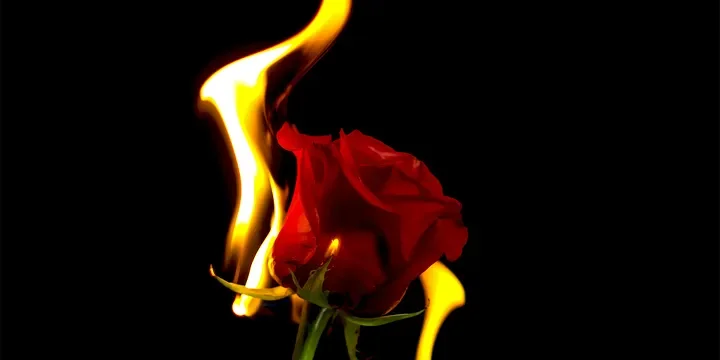 Featured image of post A Man’s Three Psychological Changes from Infatuation to Deep Love, Difficult to Disguise